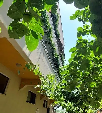Juvenilja 招待所